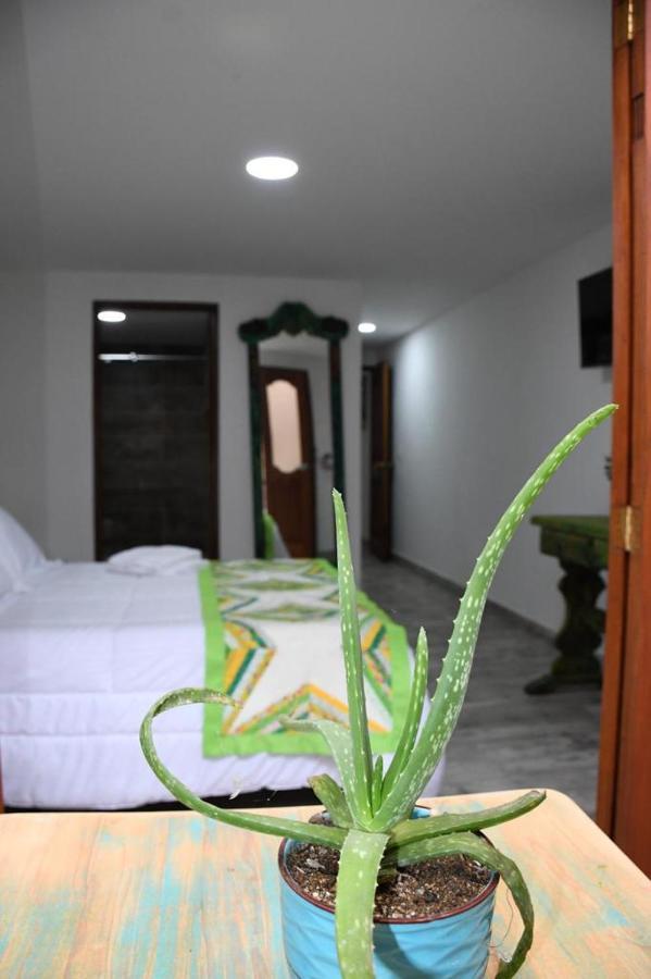 Paisa Territory Jardin Hotel Exterior photo